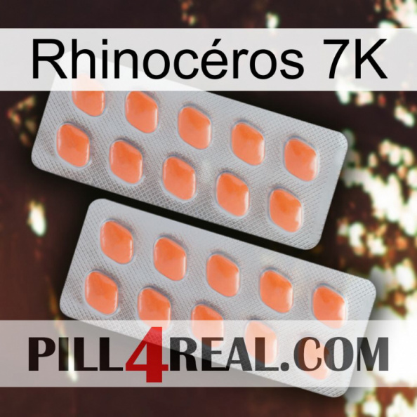 Rhinocéros 7K 27
